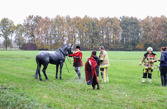 Ruiter en paard vallen in droge sloot in Zennewijnen
