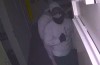 Bewoner schrikt zich wild van drie inbrekers in zijn huis