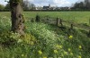 Kritiek op plan voor Landgoed Lingedijk in Buurmalsen groeit