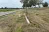 Onbekende dader vernielt boom in Kesteren