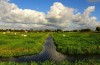 Gemeente zoekt landbouwgrond voor ophoging met schone bagger