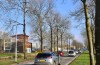 Spoedreparatie aan de Nieuwe Tielseweg