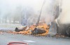 Vrachtwagen met mandarijnen in brand op A15 bij Echteld