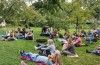 SRC Weekend: AMAI Zomer Meetup brengt Instagram-poëzie naar Culemborg