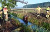 Paard na ruim een uur uit het water gehaald in Beesd