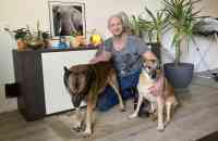 'Tielse hondenman' Jeffrey Claes begint te wennen aan zijn woning