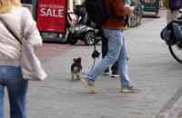 SRC op Straat: Smeren Culemborgers zich in nu de zon weer terugkomt?