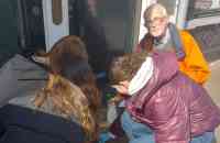 SRC Weekend: De verhalen achter de Stolpersteine in Culemborg