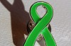 Nominaties geopend voor Groene Lintje 2025