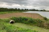 Waterschap: droogte blijft voelbaar ondanks koeler weer en wat regen