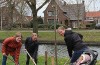 Gemeente plant 400 nieuwe bomen, ondanks discussie over ‘zwarte lijst’